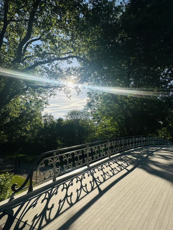 Sunlight through the trees over a cast-iron bridge in Central Park
